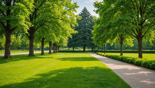 10 astuces pour simplifier l'entretien des espaces verts